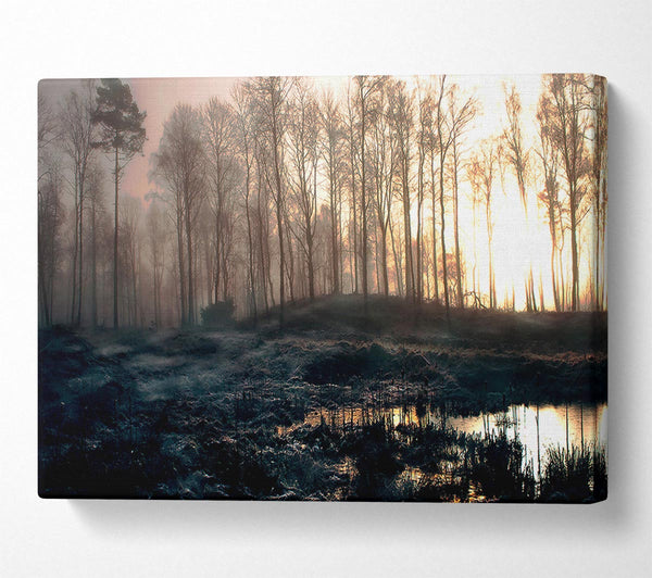  A Canvas Print of Early Morning Swamp Canvas Print