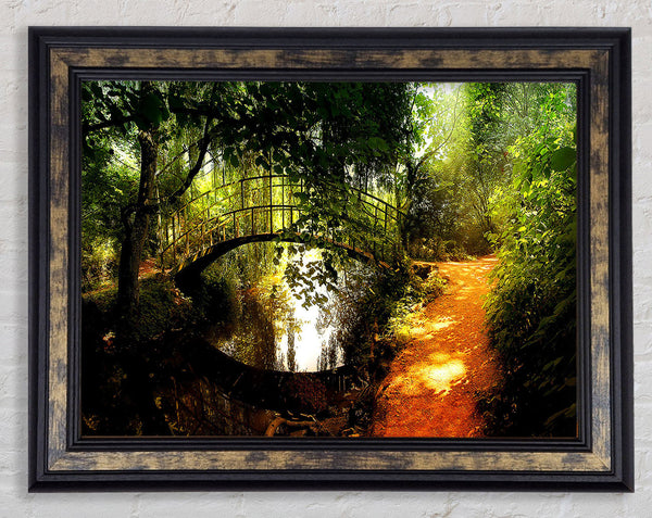 Arched Bridge Reflections Framed Print