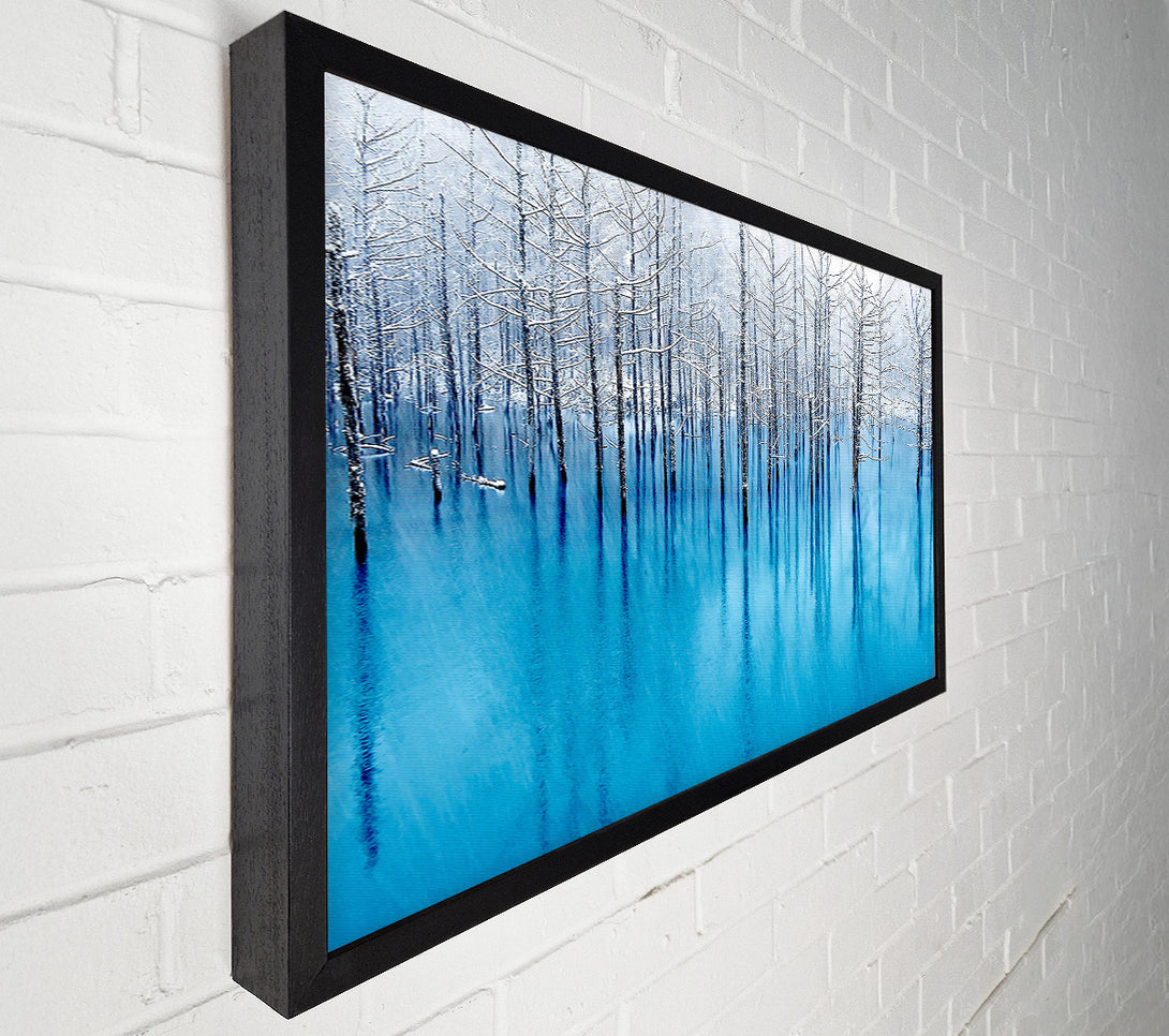  A Canvas Print of Snow Pond Canvas Print