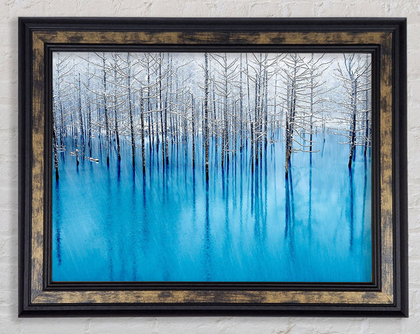 Snow Pond Framed Print