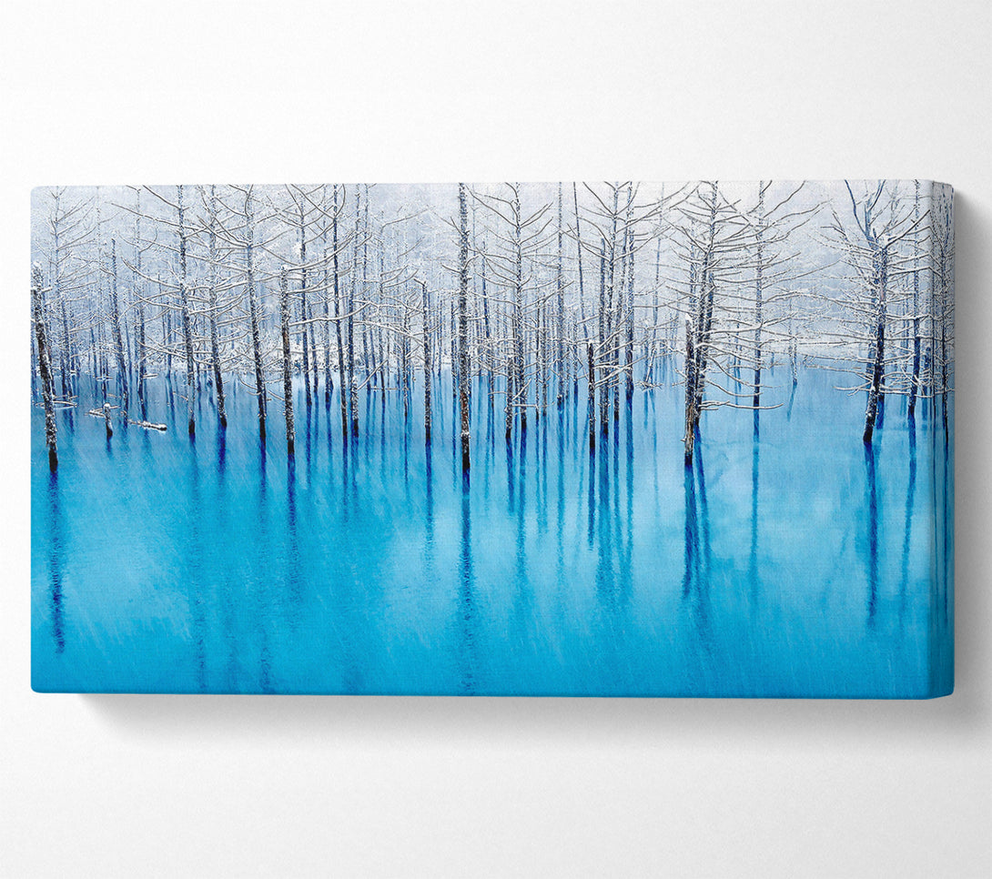  A Canvas Print of Snow Pond Canvas Print