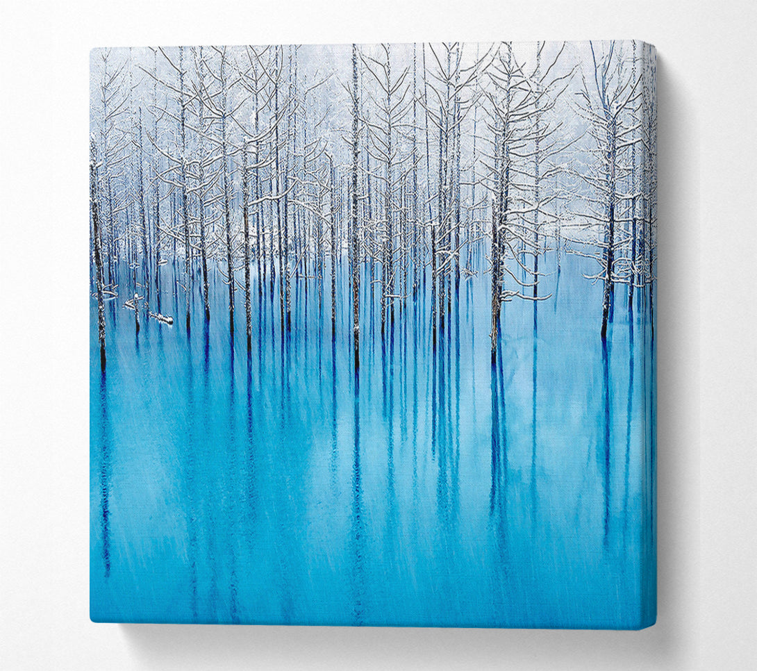  A Canvas Print of Snow Pond Canvas Print