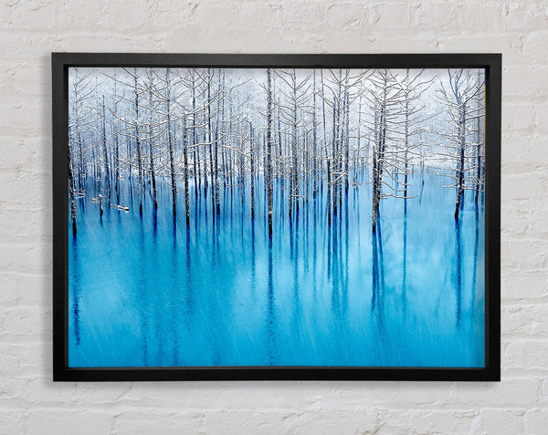 Snow Pond Framed Print