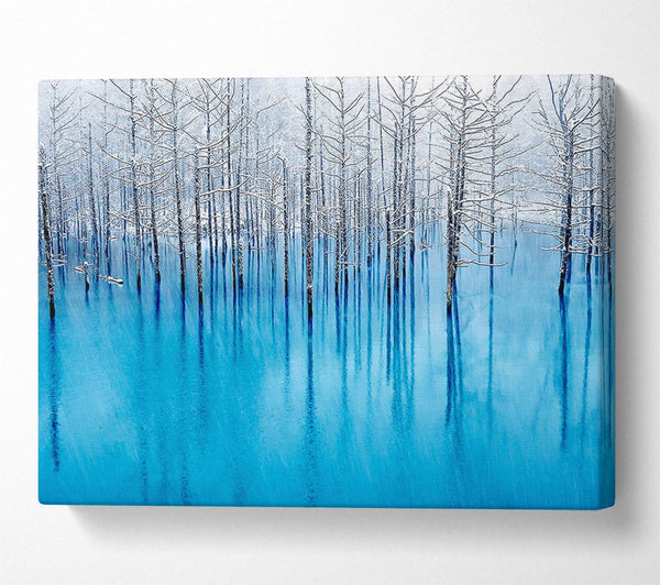  A Canvas Print of Snow Pond Canvas Print