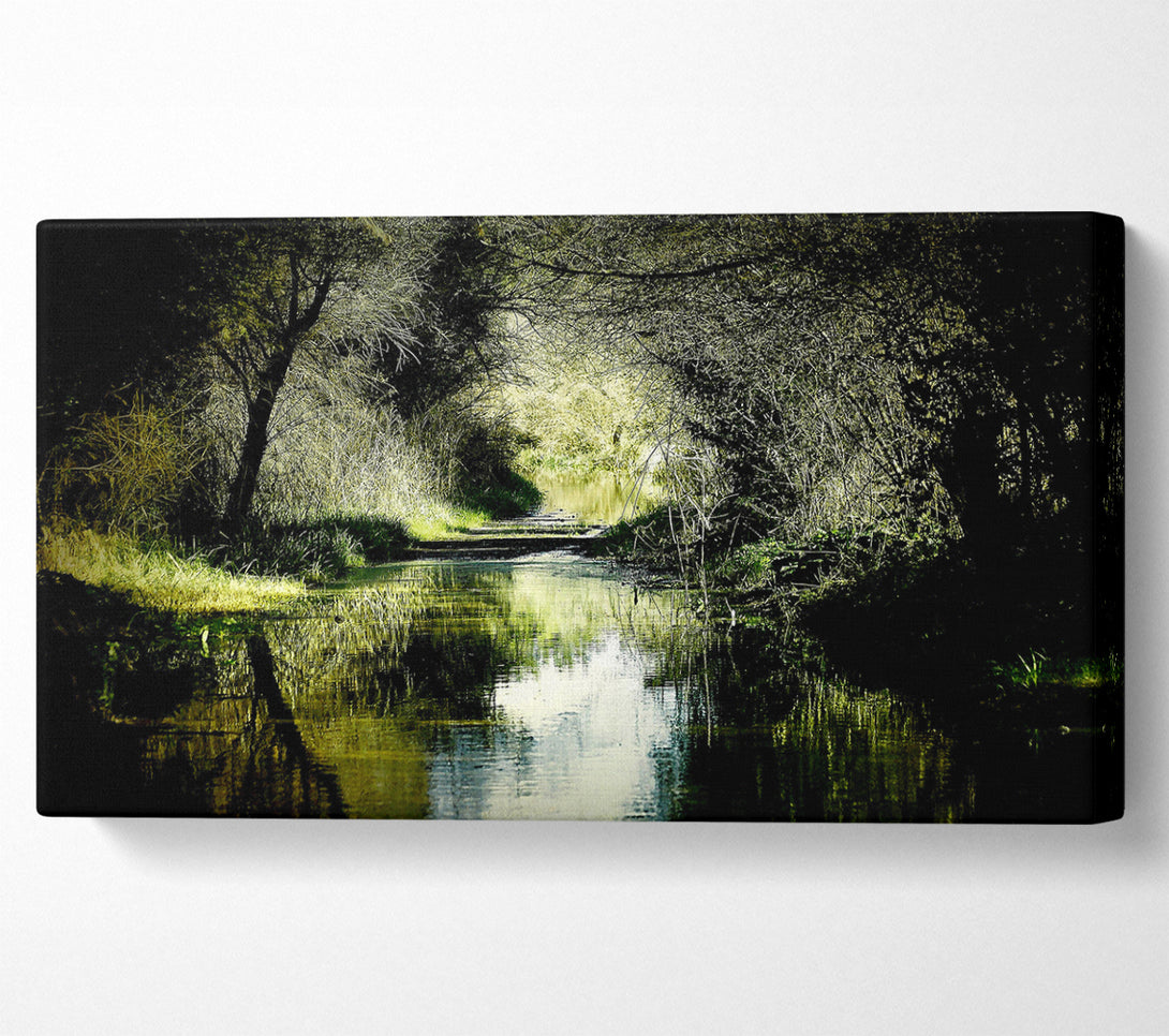  A Canvas Print of Forest Waterway Canvas Art