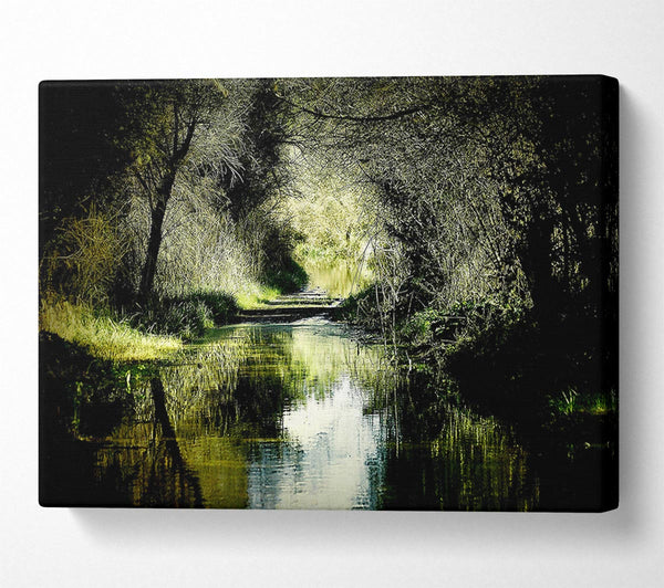  A Canvas Print of Forest Waterway Canvas Art