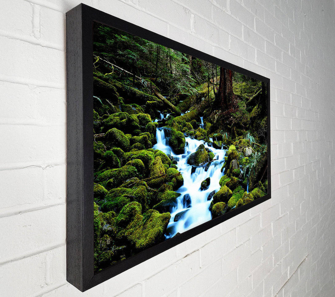  A Canvas Print of Forest Stream Movement Canvas Wall Art
