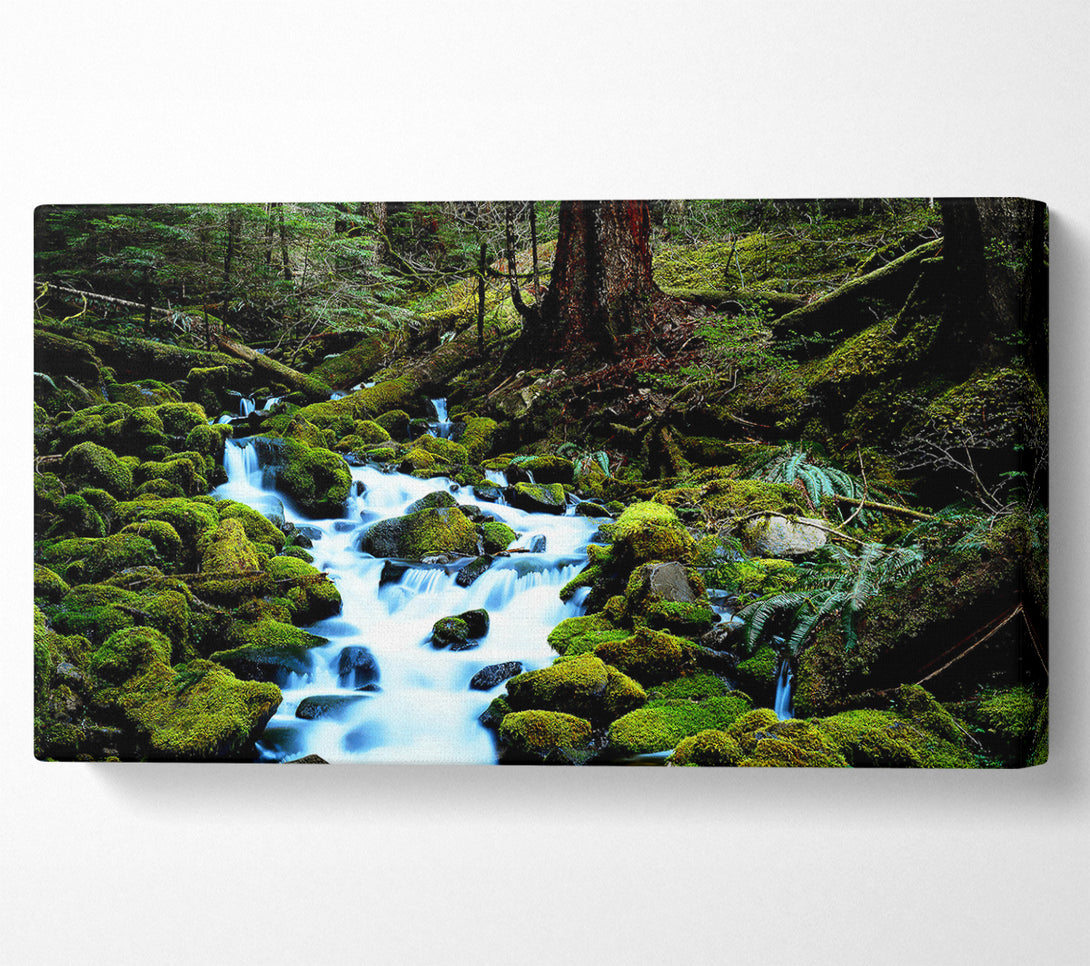  A Canvas Print of Forest Stream Movement Canvas Wall Art