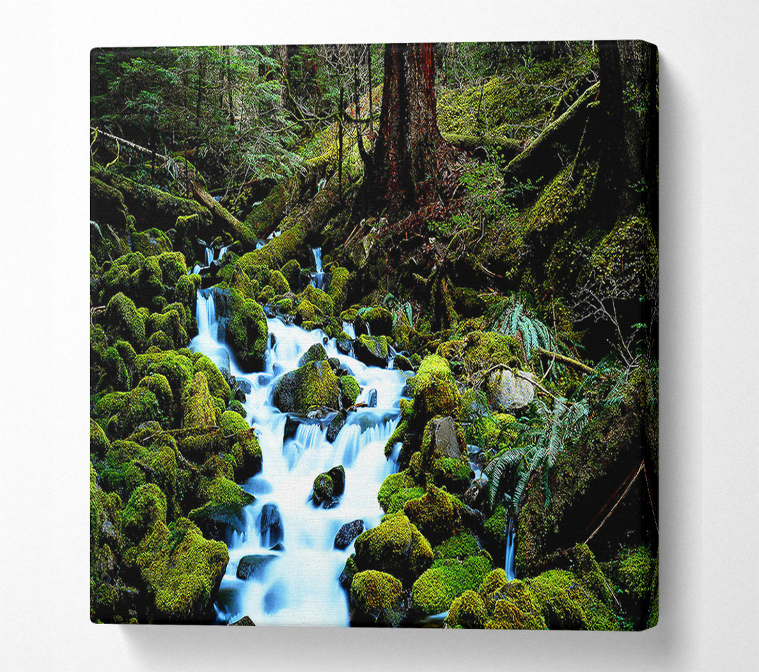  A Canvas Print of Forest Stream Movement Canvas Wall Art