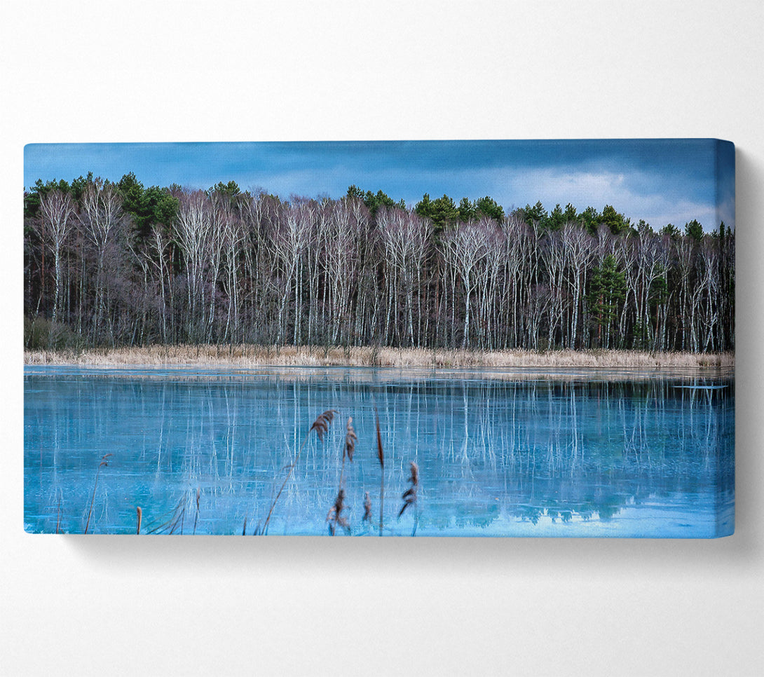  A Canvas Print of Ice Lake Canvas Wall Art
