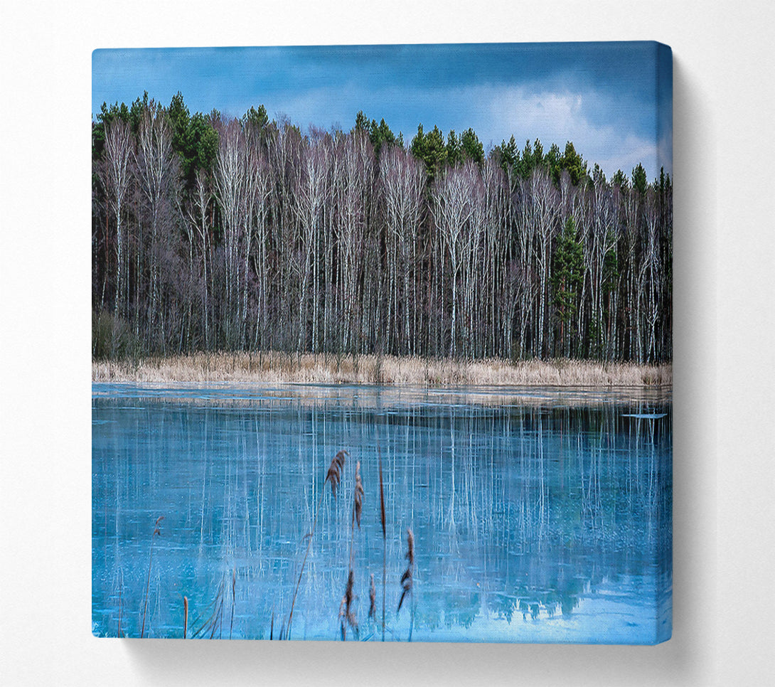  A Canvas Print of Ice Lake Canvas Wall Art