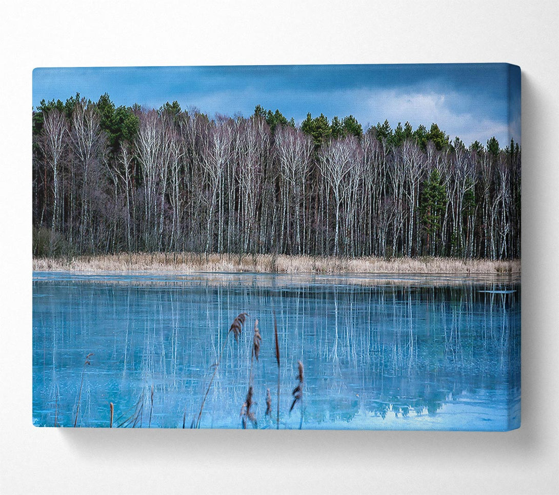  A Canvas Print of Ice Lake Canvas Wall Art