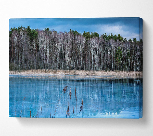  A Canvas Print of Ice Lake Canvas Wall Art
