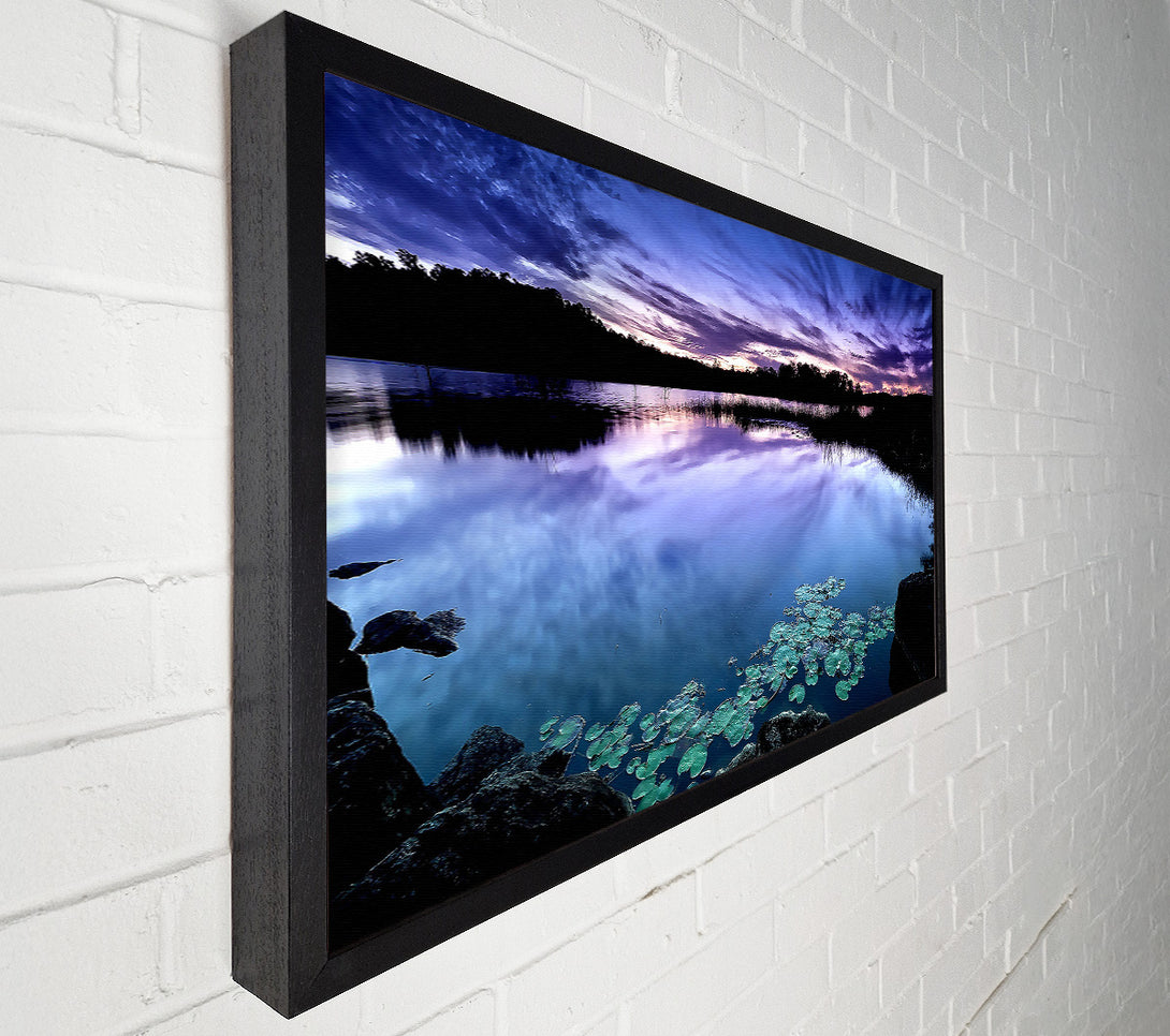  A Canvas Print of Calm Dusk Water Lily pads Canvas Print