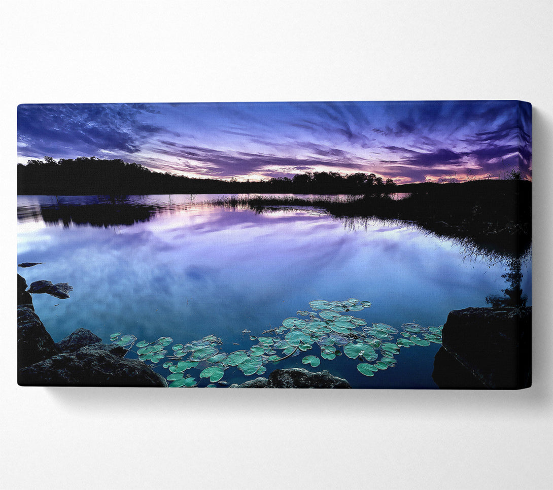  A Canvas Print of Calm Dusk Water Lily pads Canvas Print