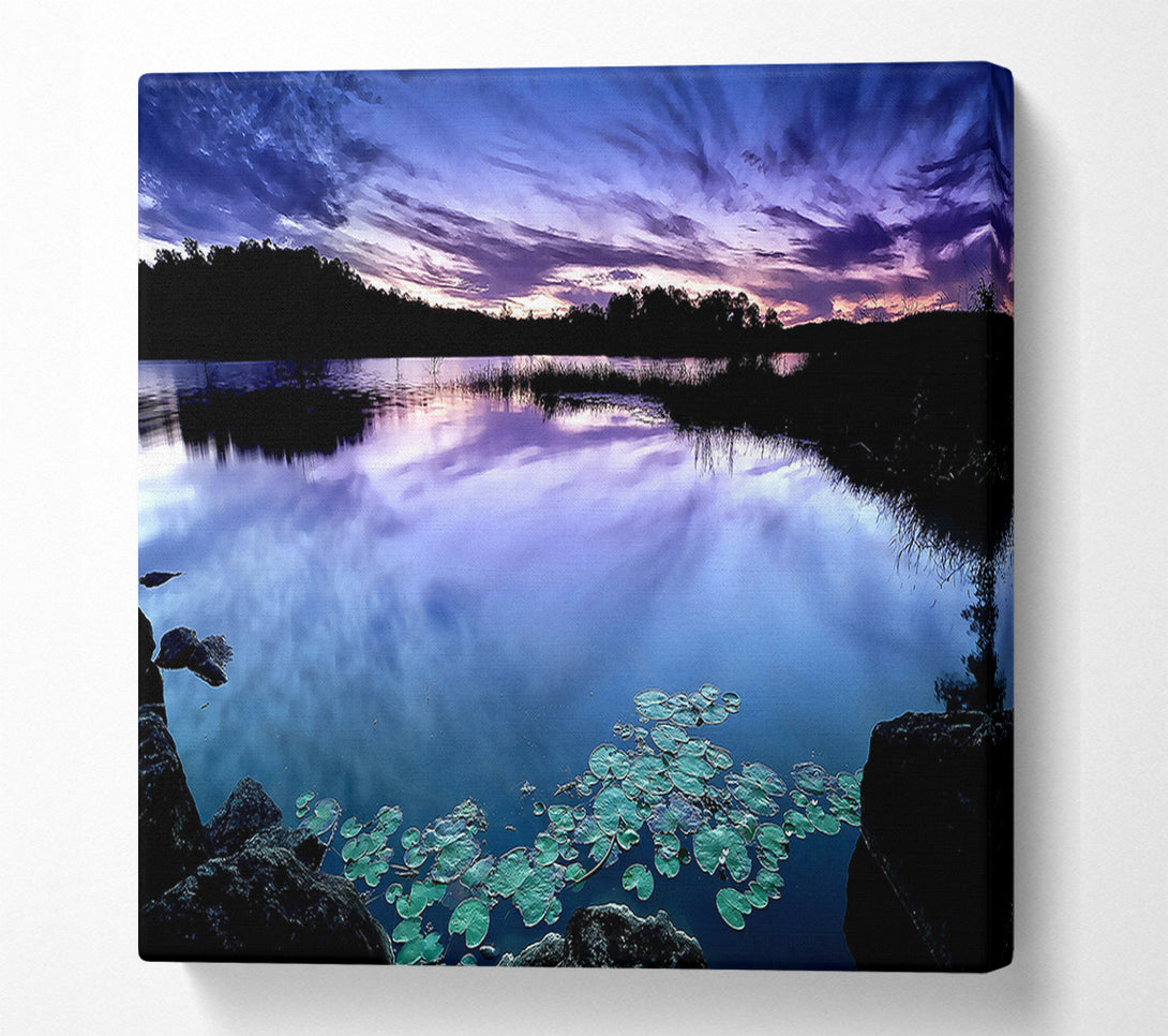  A Canvas Print of Calm Dusk Water Lily pads Canvas Print