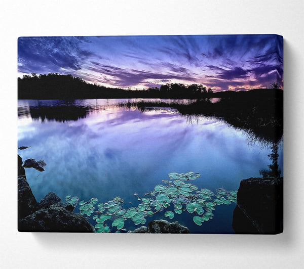  A Canvas Print of Calm Dusk Water Lily pads Canvas Print