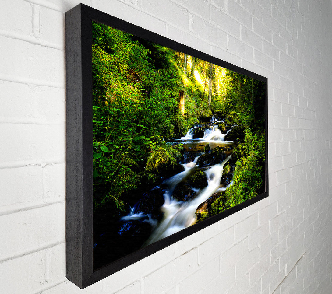  A Canvas Print of Black Forest In Germany Canvas Wall Art