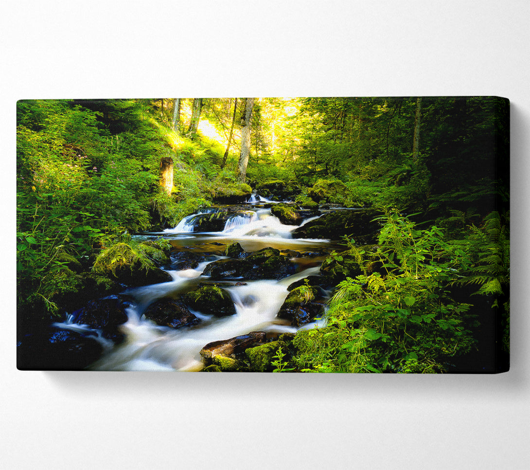  A Canvas Print of Black Forest In Germany Canvas Wall Art