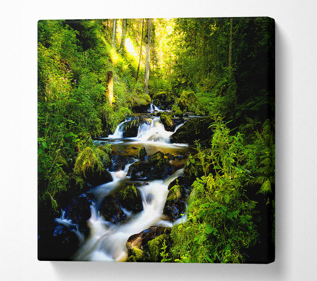  A Canvas Print of Black Forest In Germany Canvas Wall Art