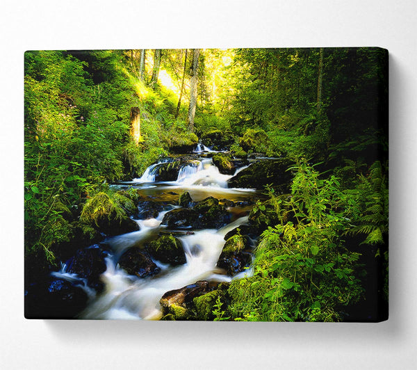  A Canvas Print of Black Forest In Germany Canvas Wall Art