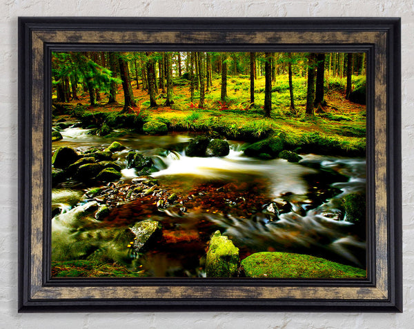 The Stream In Flow Framed Print