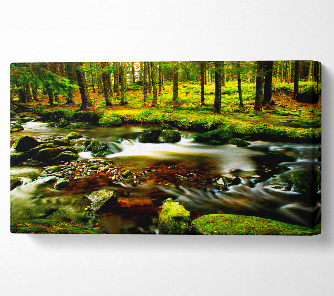  A Canvas Print of The Stream In Flow Canvas Print