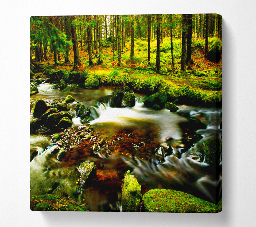  A Canvas Print of The Stream In Flow Canvas Print