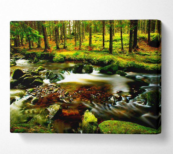  A Canvas Print of The Stream In Flow Canvas Print