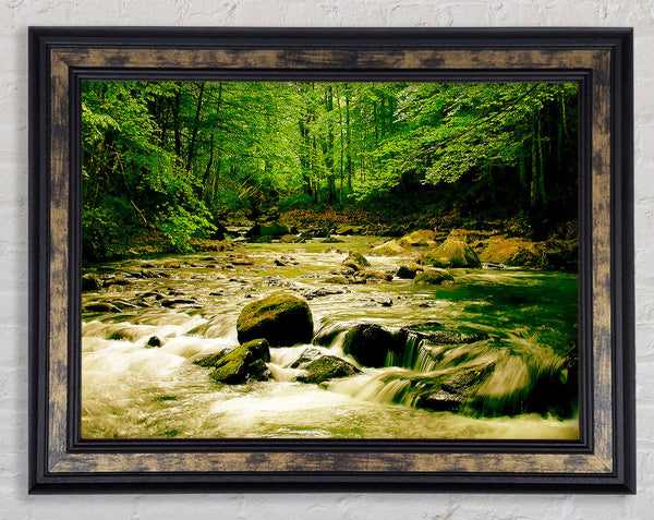 The Green River Forest Framed Print
