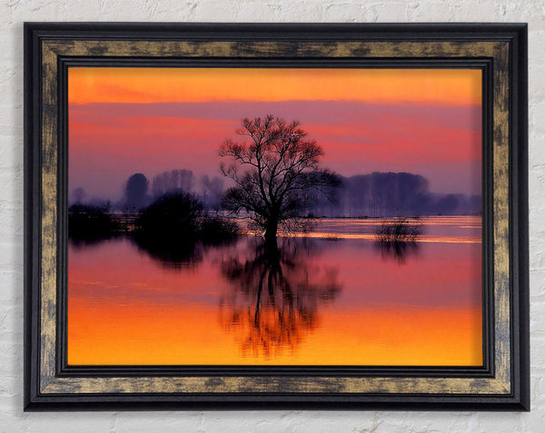 Orange Morning Reflections Framed Print