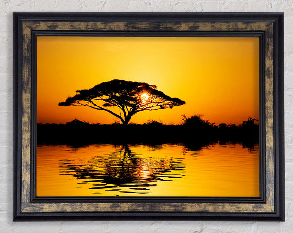 Tree Of Reflections Framed Print