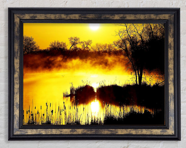 Misty Yellow Lake Side Framed Print