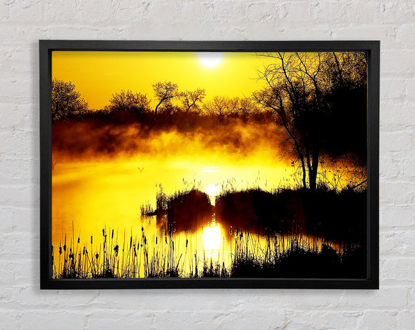 Misty Yellow Lake Side Framed Print