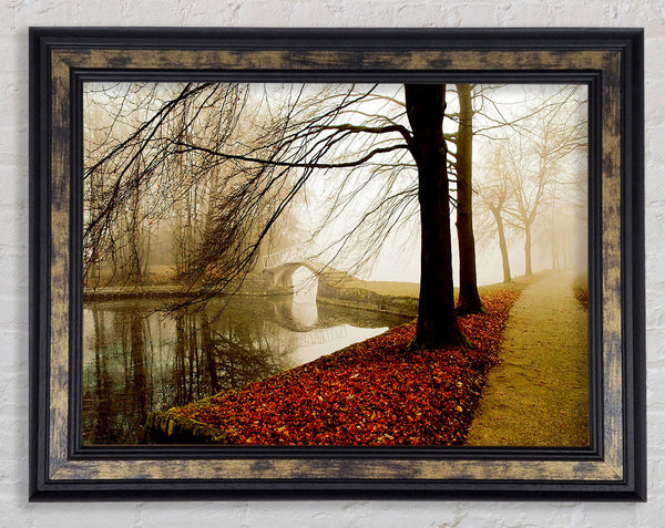 Morning Mist River Walk Framed Print