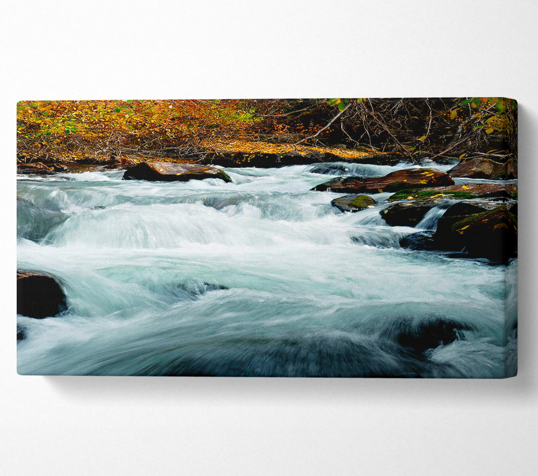  A Canvas Print of River Rocks Canvas Wall Art