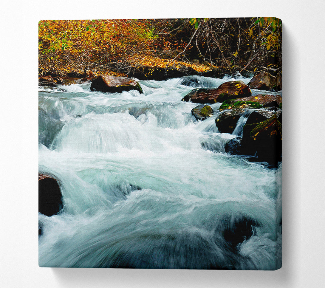  A Canvas Print of River Rocks Canvas Wall Art
