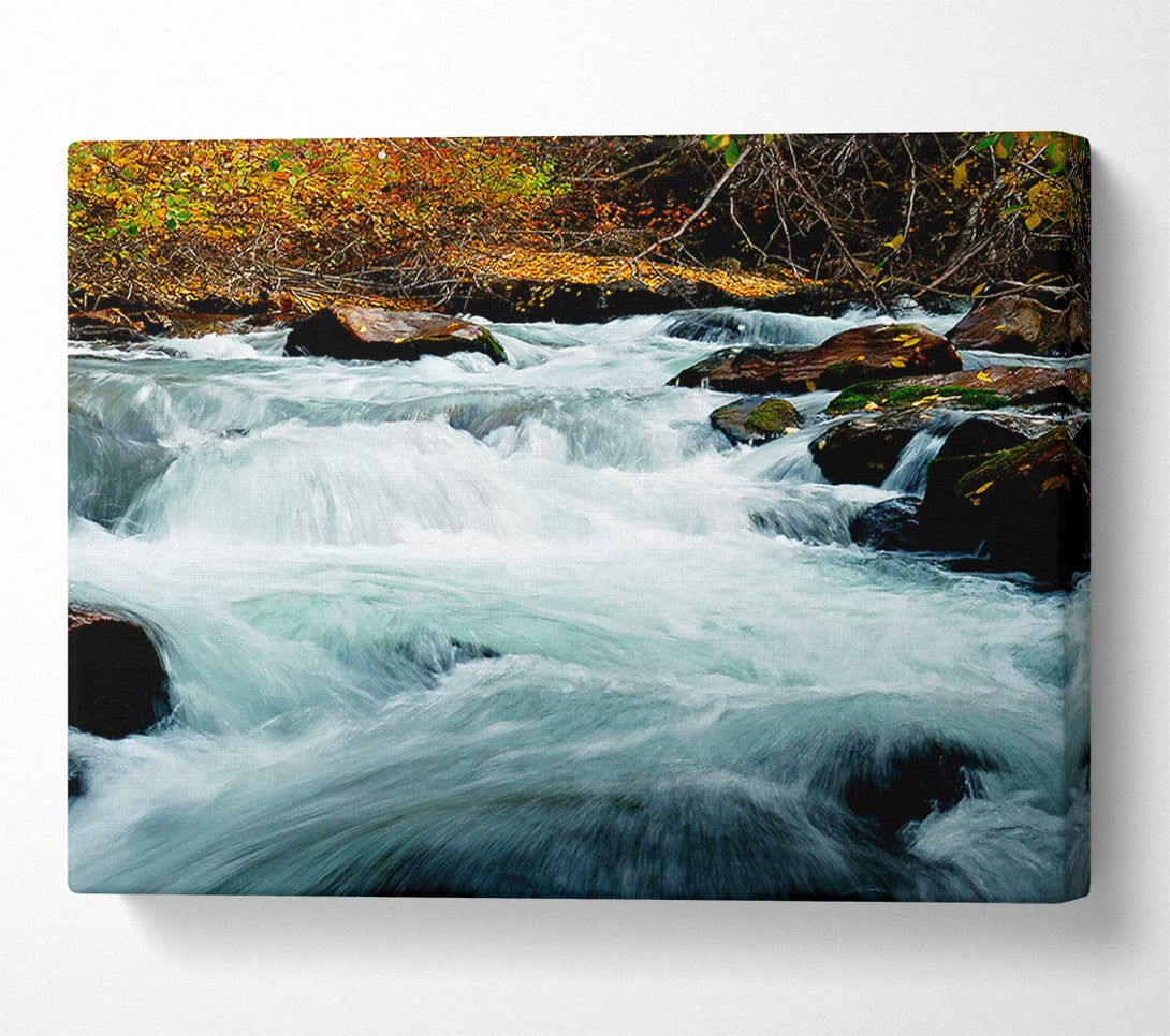  A Canvas Print of River Rocks Canvas Wall Art