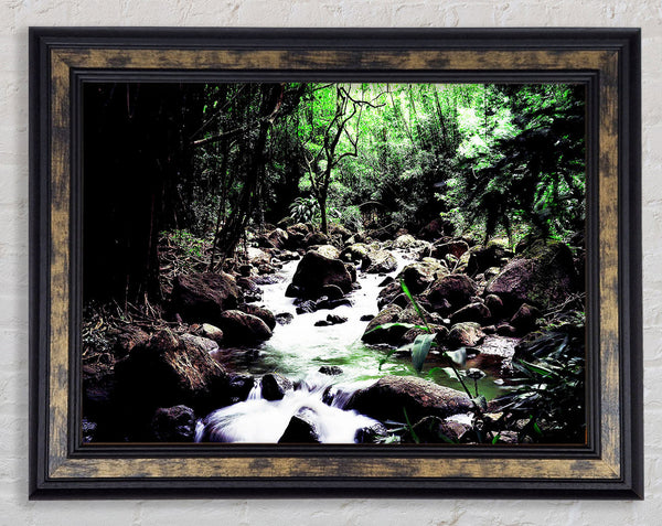 Hidden Woodland Stream Framed Print