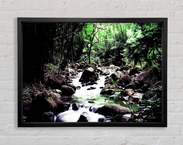 Hidden Woodland Stream Framed Print