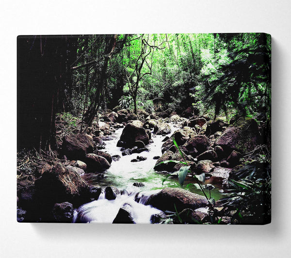  A Canvas Print of Hidden Woodland Stream Canvas Wall Art