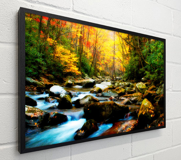Autumn Stream