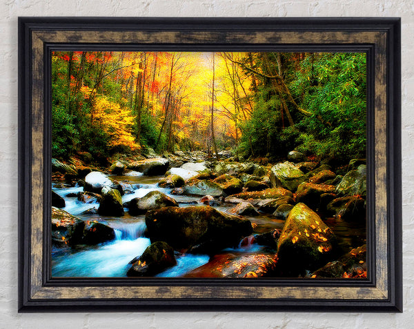 Autumn Stream Framed Print