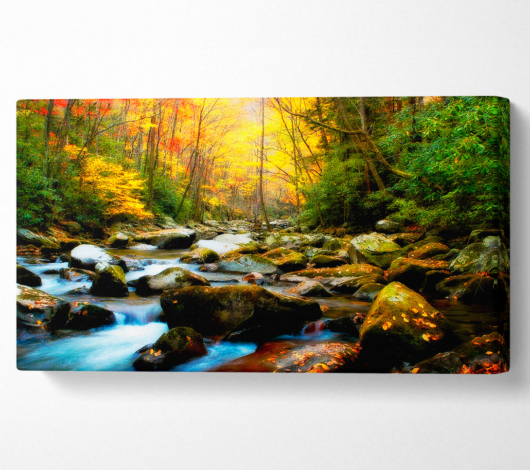  A Canvas Print of Autumn Stream Canvas Wall Art