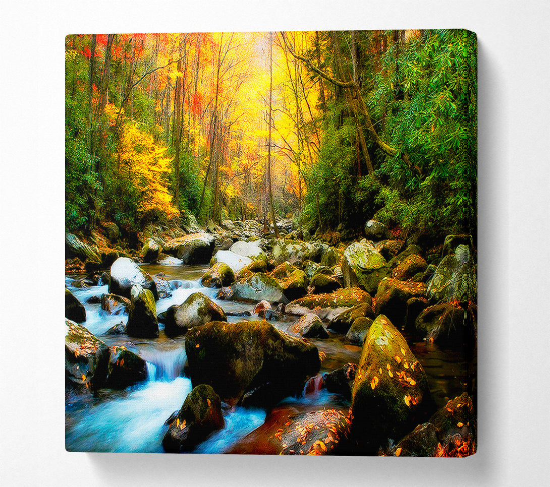  A Canvas Print of Autumn Stream Canvas Wall Art