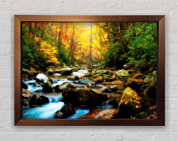 Autumn Stream Framed Print