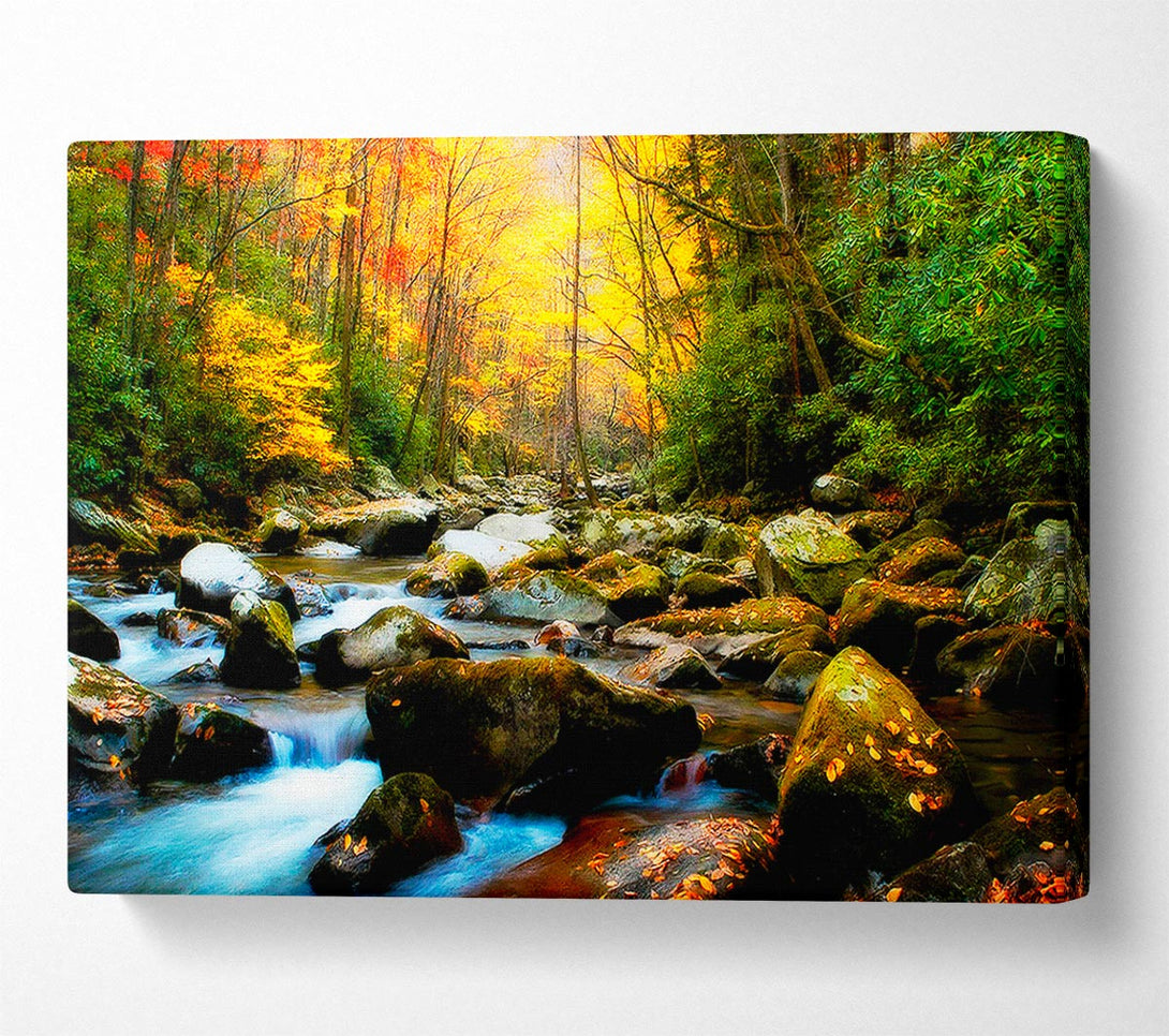 A Canvas Print of Autumn Stream Canvas Wall Art