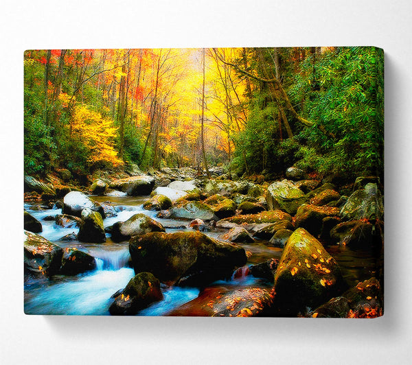  A Canvas Print of Autumn Stream Canvas Wall Art