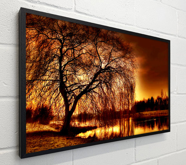 The Golden River Tree