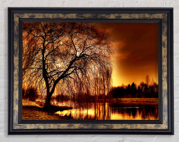 The Golden River Tree Framed Print